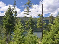 Top of the mountain views from this 20 acre parcel over looking Bottle Bay near Sandpoint Idaho. This parcel is waiting to be discovered!