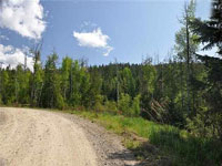 If you are looking for some acreage, close to town, this is a must see. Don't miss this 5.65 acre parcel